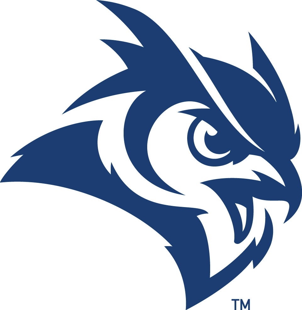 Rice Owls 2017-Pres Secondary Logo iron on transfers for clothing